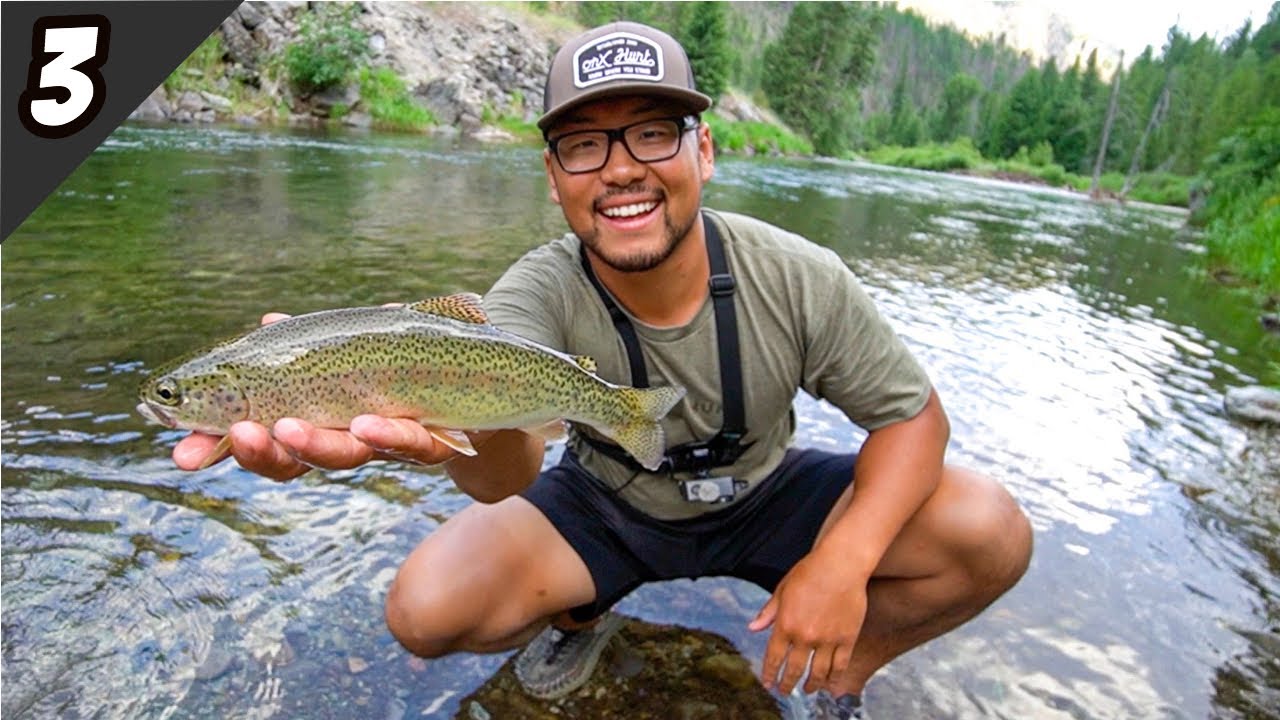 Fly Fishing a Remote Mountain Stream for Trout! (Catch Cook and Camp)