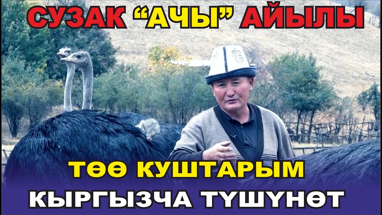 ИШКЕРЛИККЕ,ӨНӨРГӨ БАЙ АЧЫЛЫКТАР//СУЗАК РАЙОНУ КЫЗЫЛ-ТУУ А/Ө