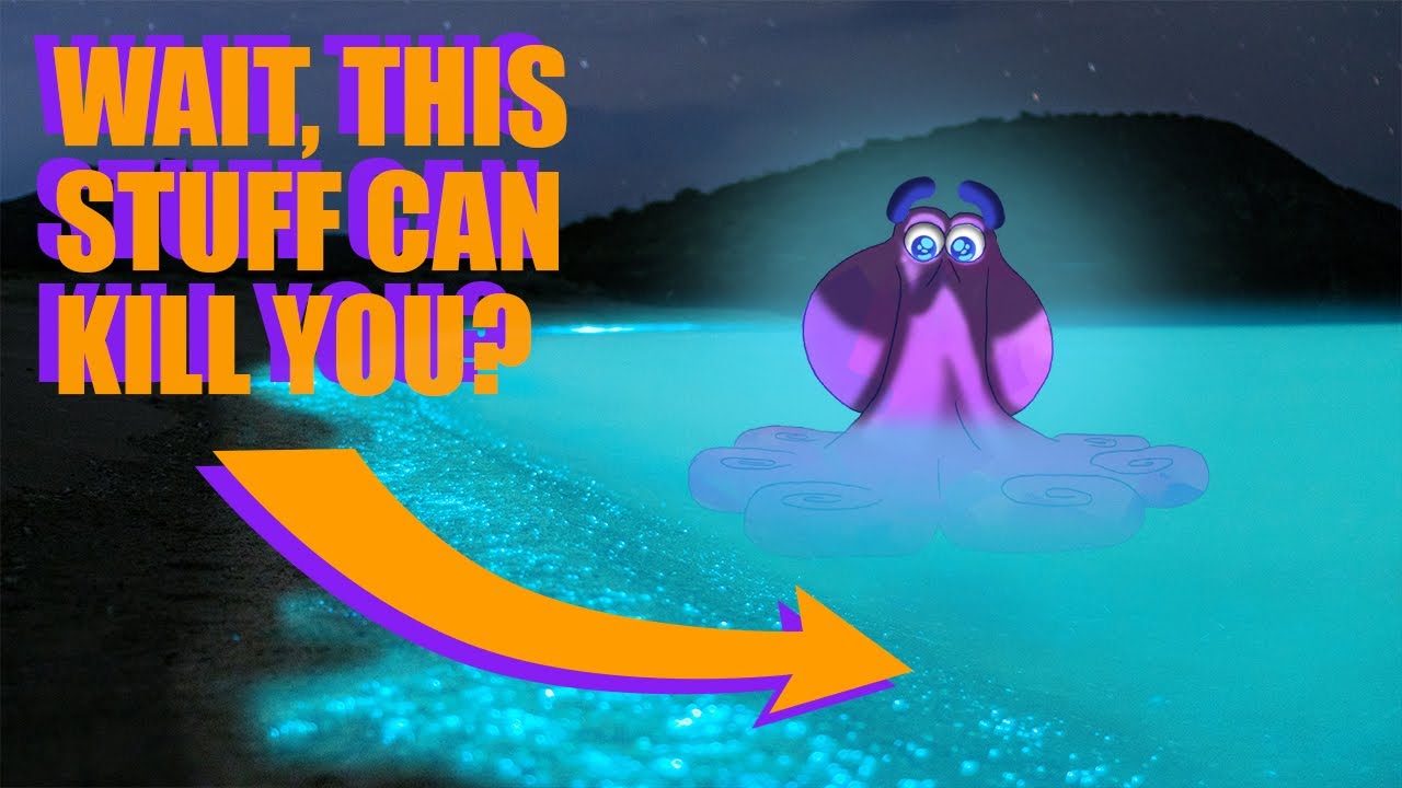 Что заставляет наши океаны так светиться? | Alien Ocean
