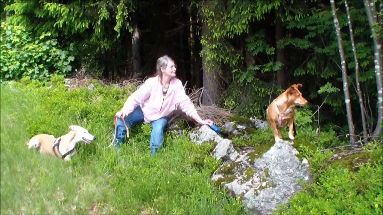 Mauth, der Fuchsberg im Juni 2012