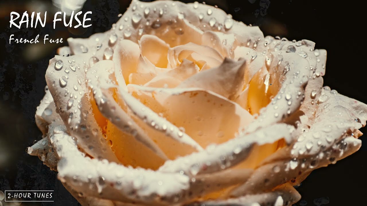 Rain Fuse - French Fuse | 2-hour tune | Endless loop
