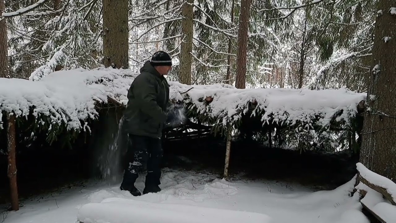 Ar pamatys barsukas savo šėšėlį ?🦡