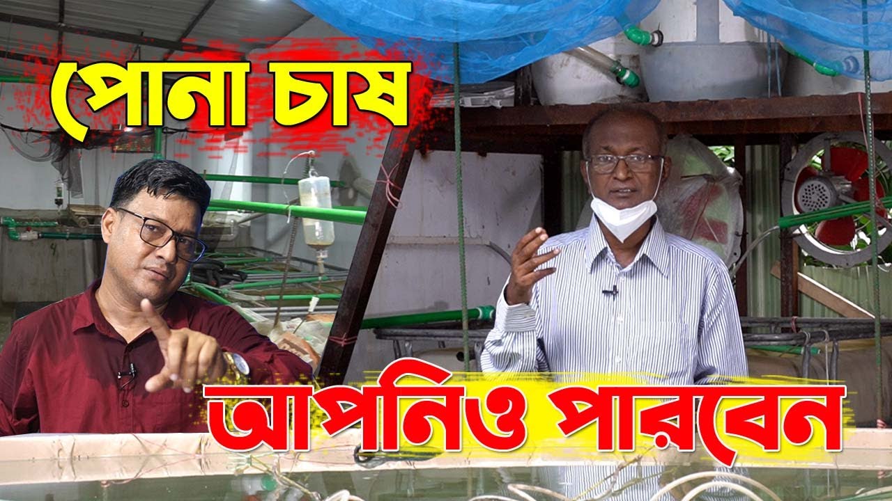 বায়োফ্লক প্রযুক্তিতে ভিয়েতনামের পোনা চাষ হচ্ছে টুঙ্গিতে। কিভাবে করছে  A to Z ।  সফল পোনা চাষী