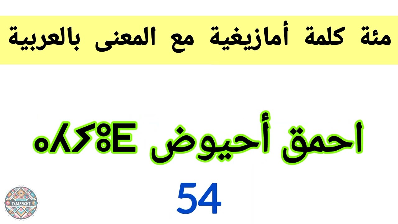مئة 100 كلمة بالامازيغية تعلم الامازيغية بسهولة