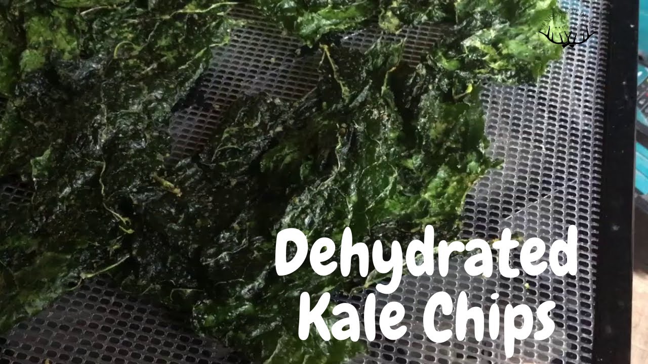 How to Make Kale Chips in the Dehydrator {RECIPE VIDEO}
