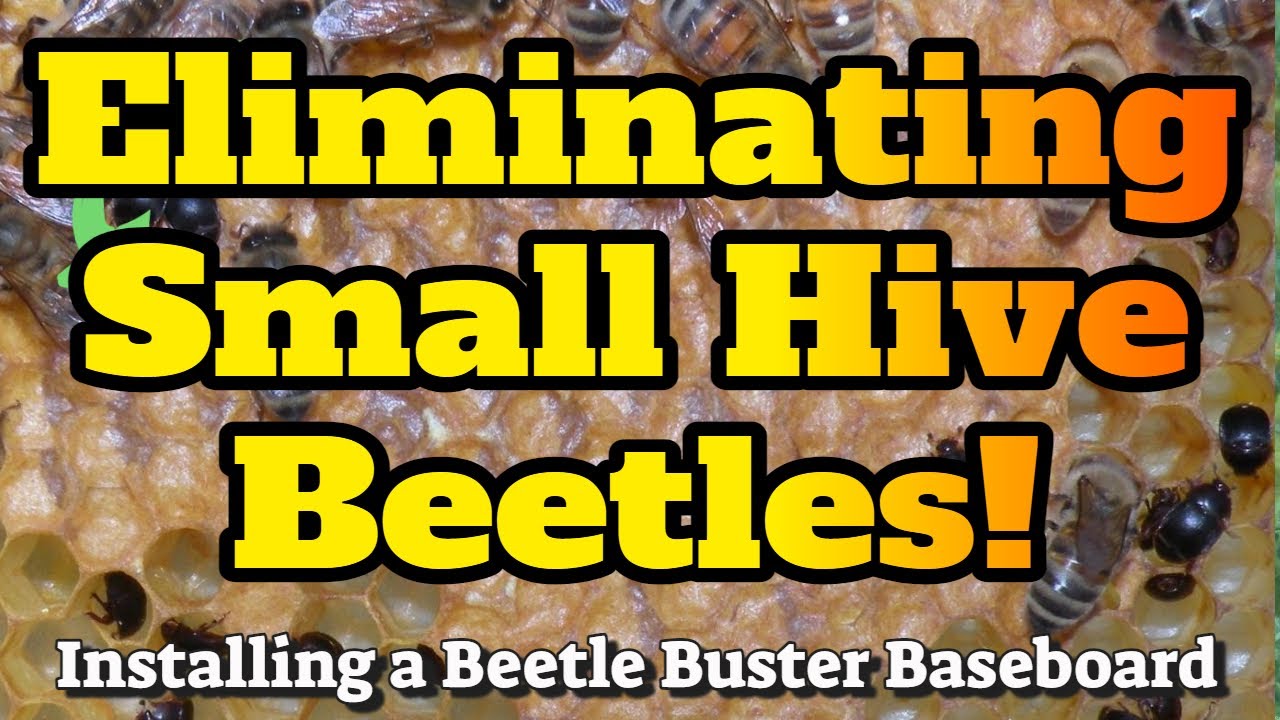 How to Install a Beetle Buster Baseboard. Easy Step-by-step instruction