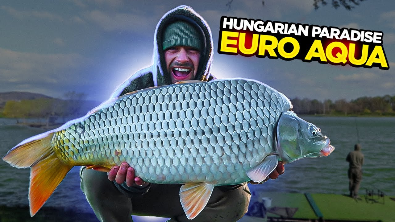 A Trip To Euro Aqua - Home Of The BIGGEST CARP In The WORLD