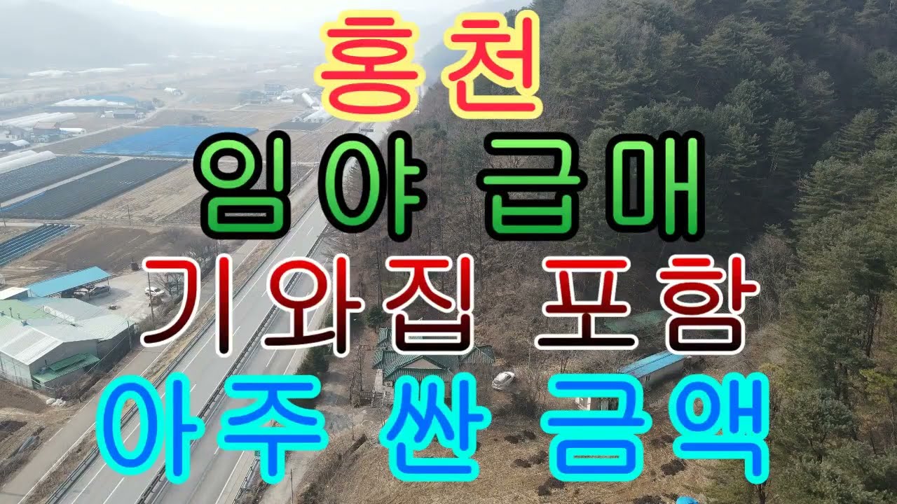 홍천 임야 급매 황토 벽돌 기와집 포함 아주 싼 금액임 1억 8천만