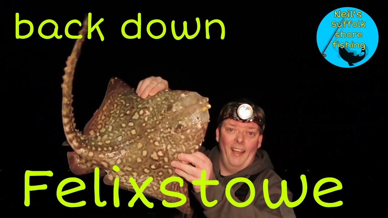 BACK down FELIXSTOWE