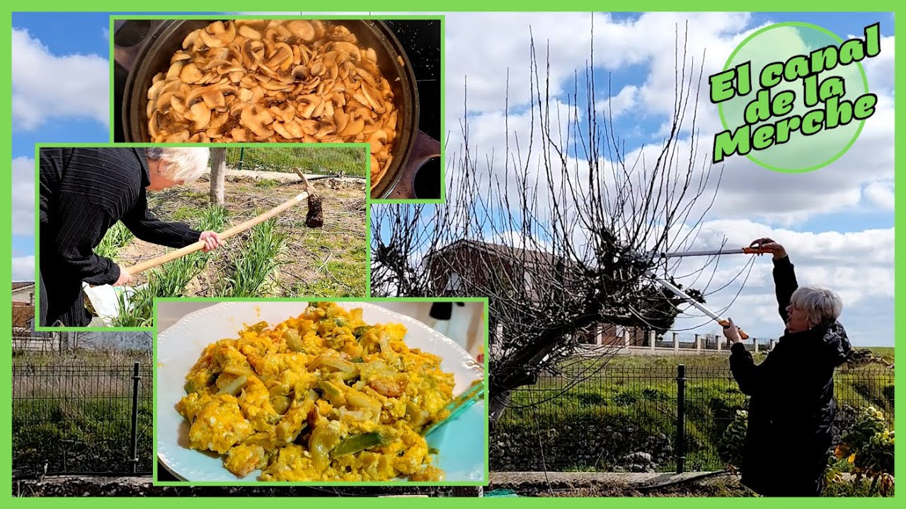 S13: LA HUERTA NO ES PARA MI