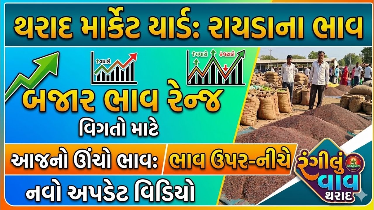🚨 થરાદ માર્કેટ યાર્ડ આજના રાયડાના ભાવ | 17-03-2026 | રાયડાના ભાવમાં ઉતાર-ચઢાવ | Rangilu Vav Tharad