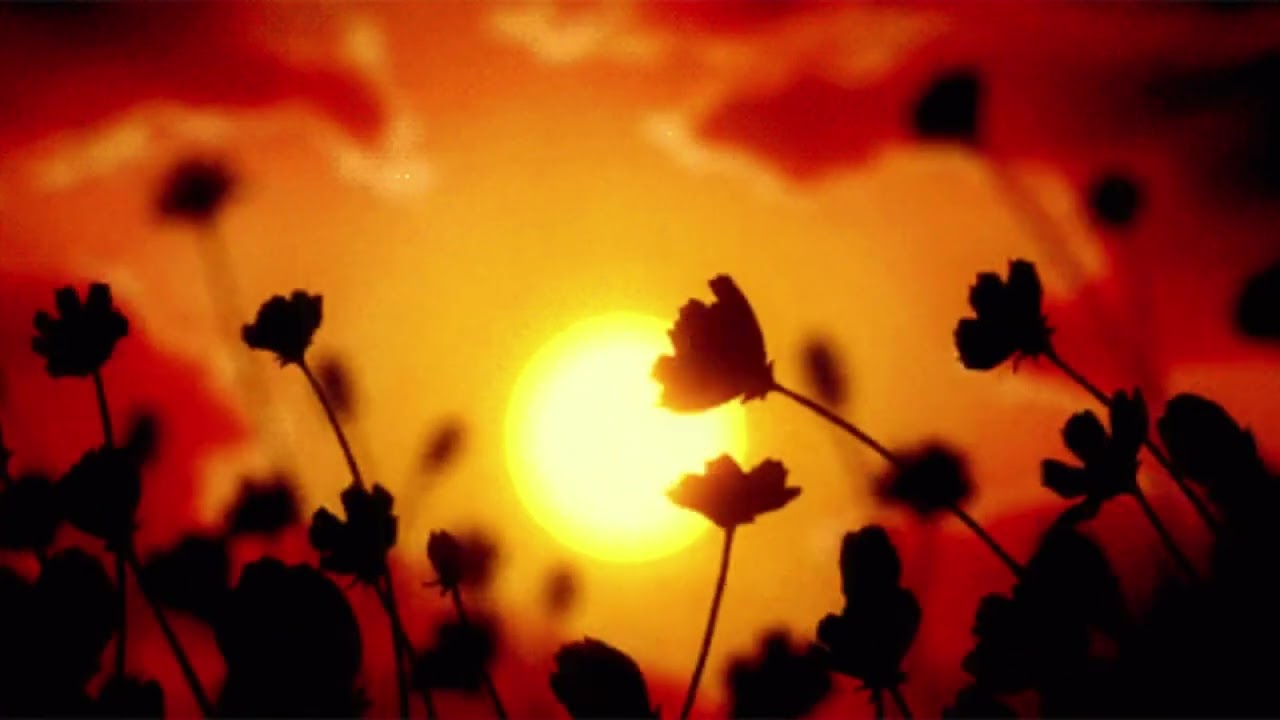 take me home, country roads (slowed x reverb x remixed) john denver