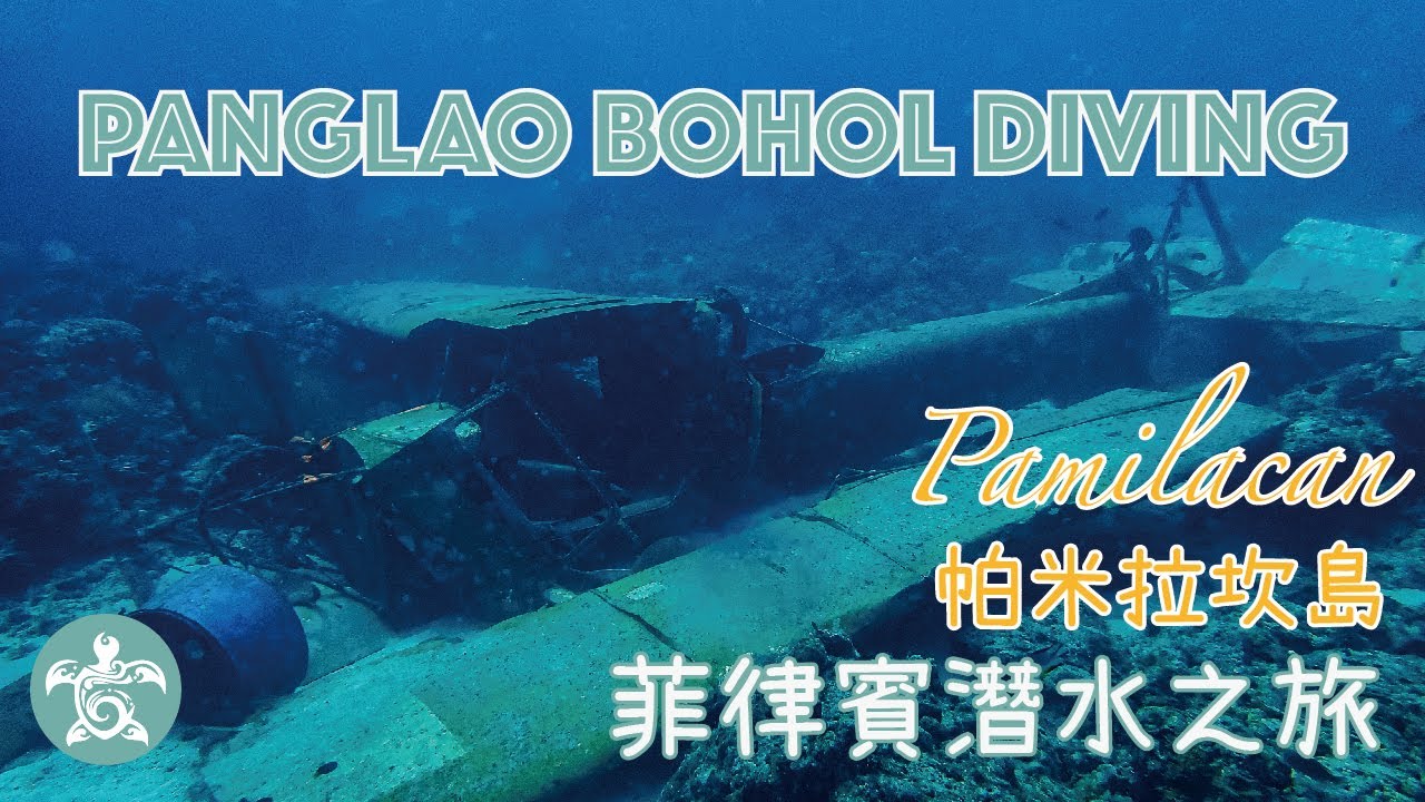 Panglao Bohol Diving ｜菲律賓潛水之旅 ｜ Pamilacan｜ Airport 海下飛機｜