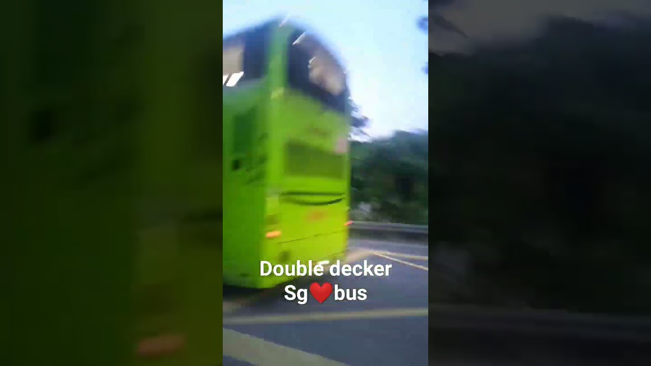 bis double decker SG❤BUS #busmania #basuri #basuriv3 #automobile