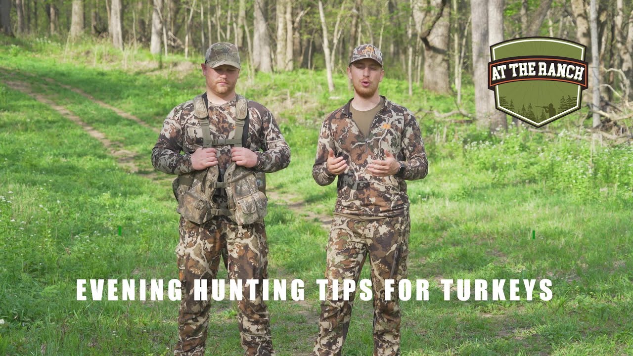 At the Ranch - Turkey: Evening Hunting Tips