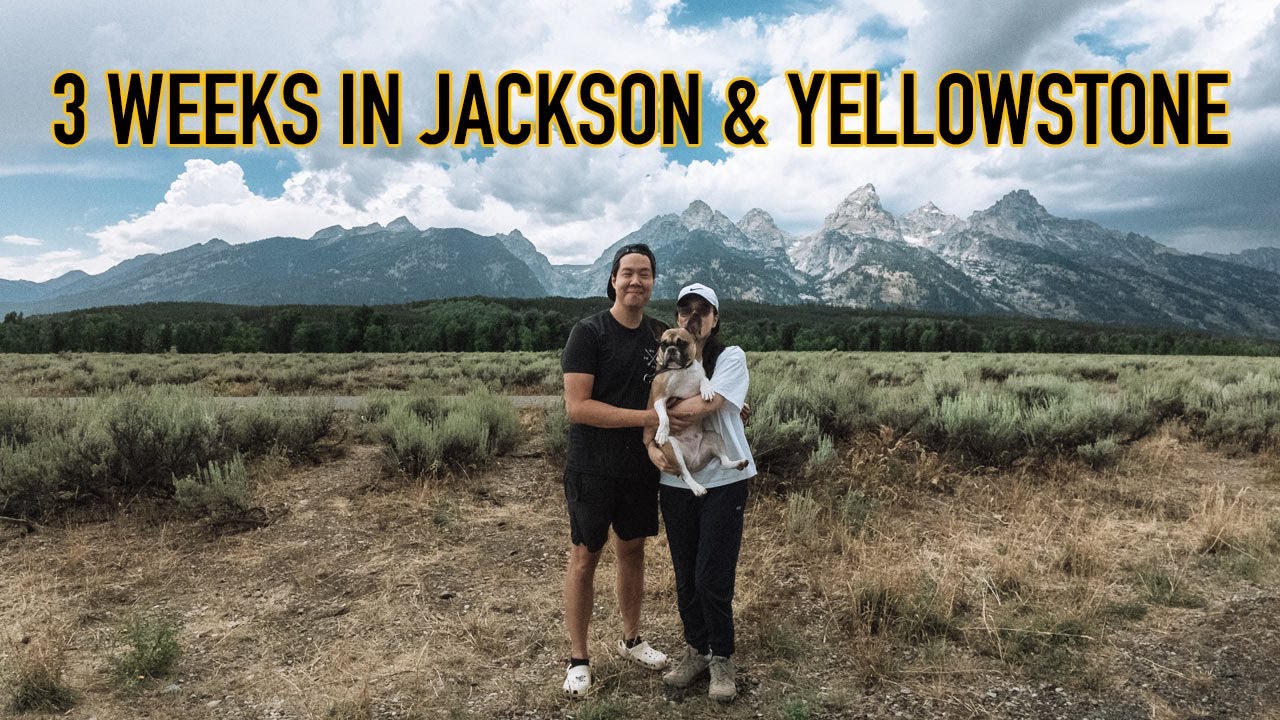 Our Time In Tetons & Yellowstone #grandtetons #yellowstone #jackson #landcruiser #djiair3s #djiosmo