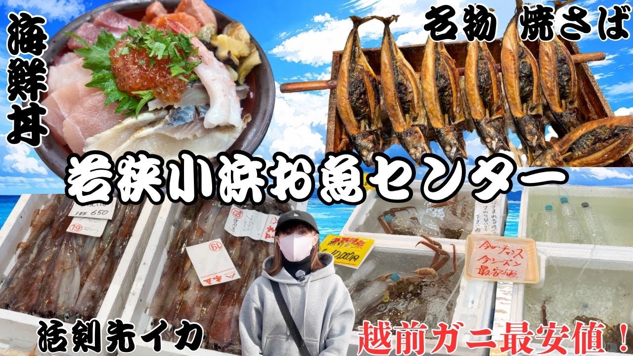 【最強】越前ガニ最安値！日本海最強の海鮮市場『若狭小浜お魚センター』へ潜入。#小浜お魚センター#激安#海鮮