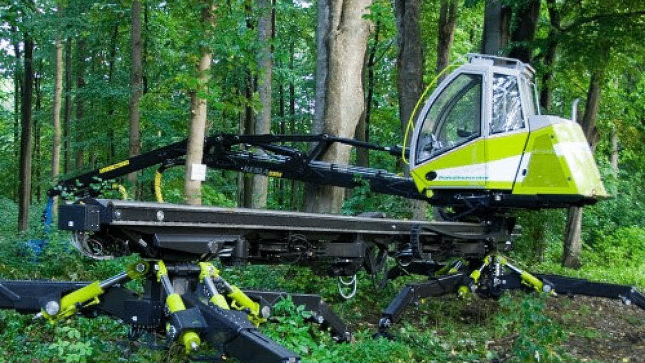 Top Amazing Modern Giant Wood Harvesting Equipment | Fastest Tree Harvest Cutting Wood Machines
