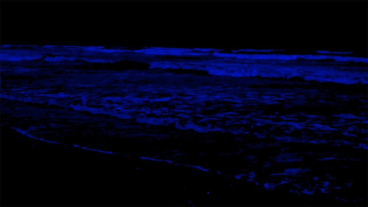 Fall into Sleep Instantly with Relaxing Ocean Sounds on a Dark Screen at Night