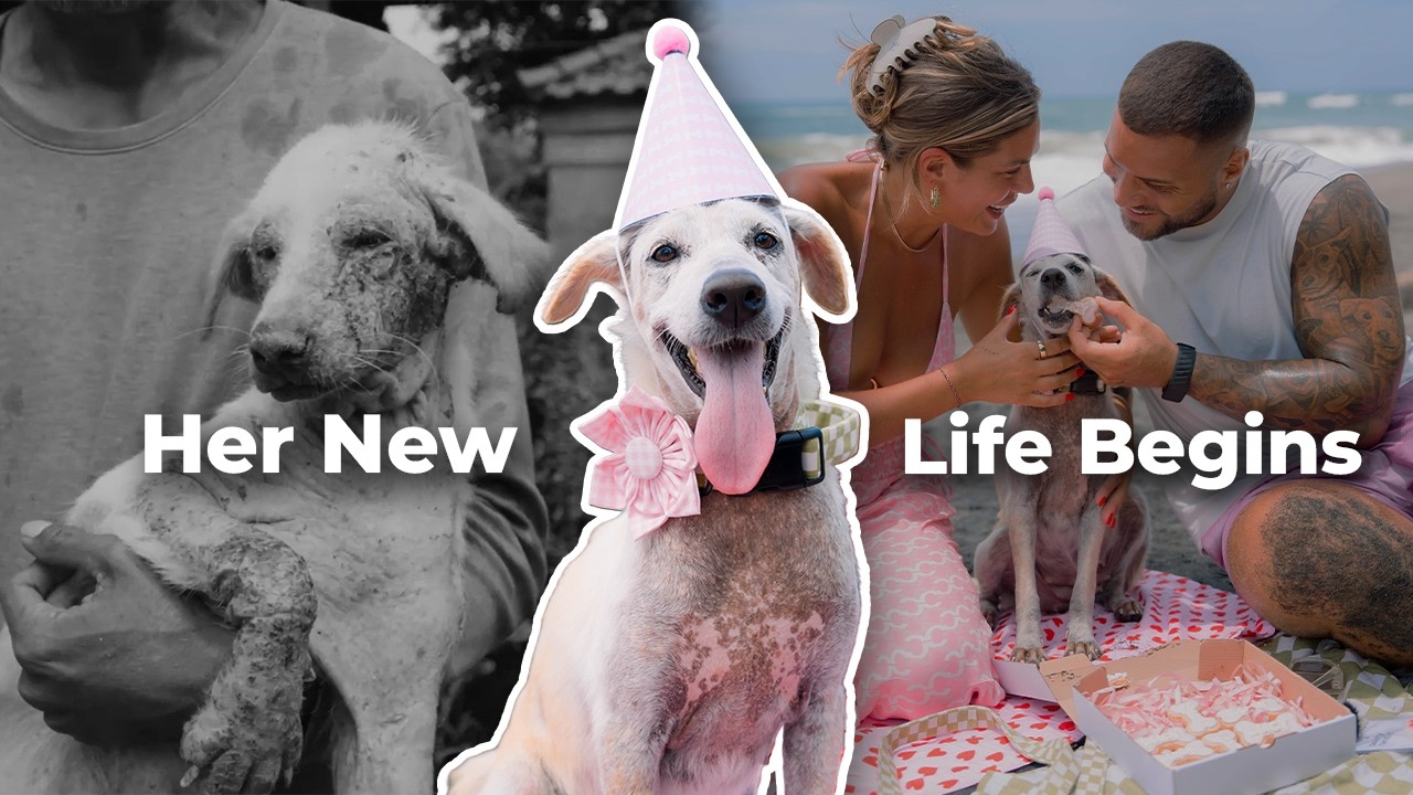 One Month After Rescue… Everything Changed