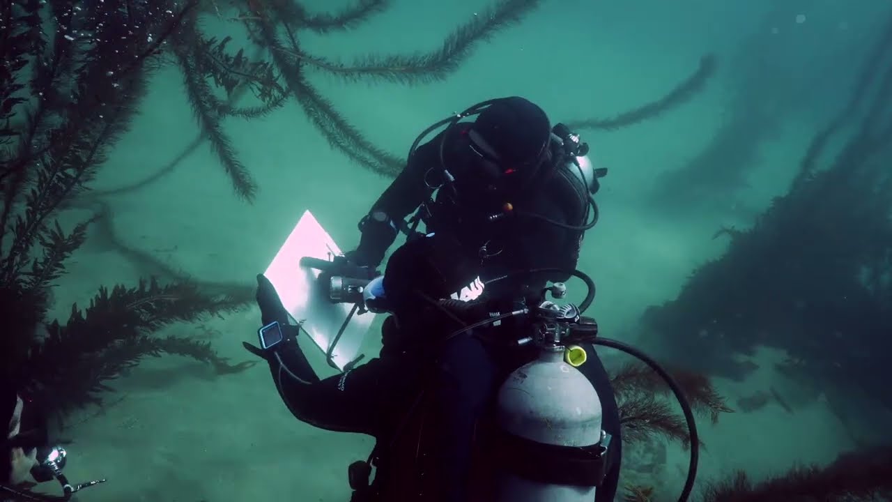 Changing Thermographic Sensors with my AAUS Dive Team