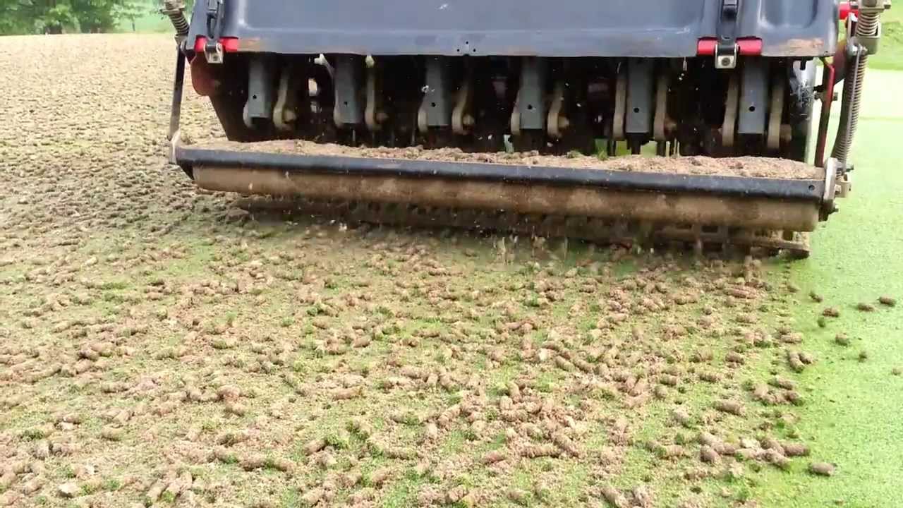 Golf Course greens aeration - why?