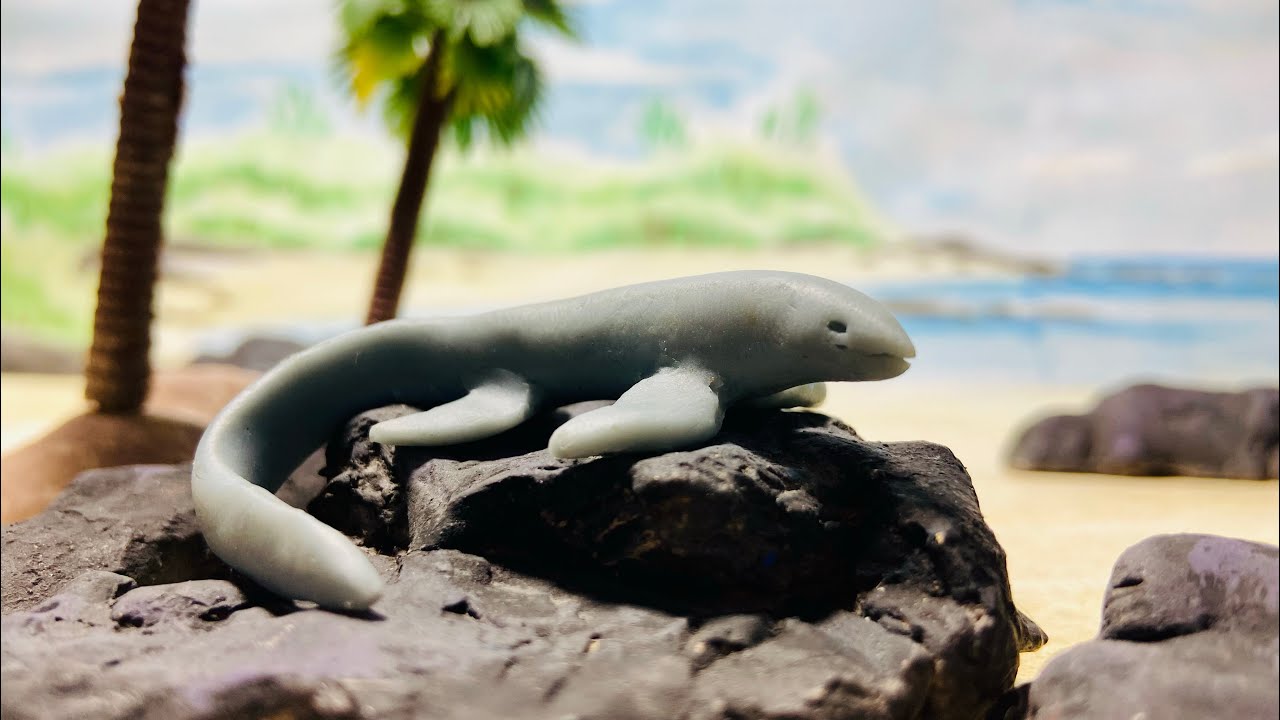 Cartorhynchus, Ichthyosaurs beginnings