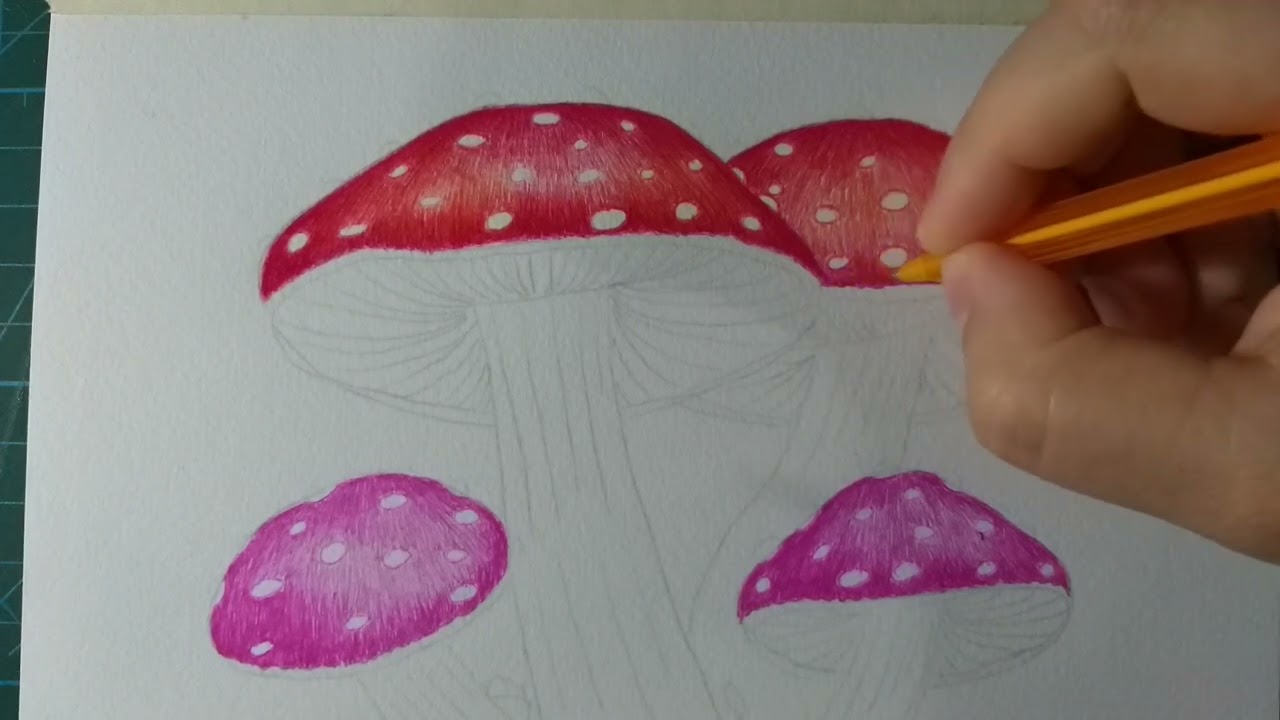 Curso de ilustración con bolígrafos 2,  Como hacer hongos. Realistic Mushrooms: A Step-By-Step