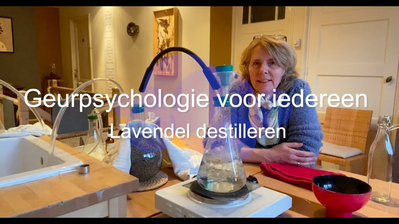 Geurpsychologie voor iedereen: Lavendel destilleren: