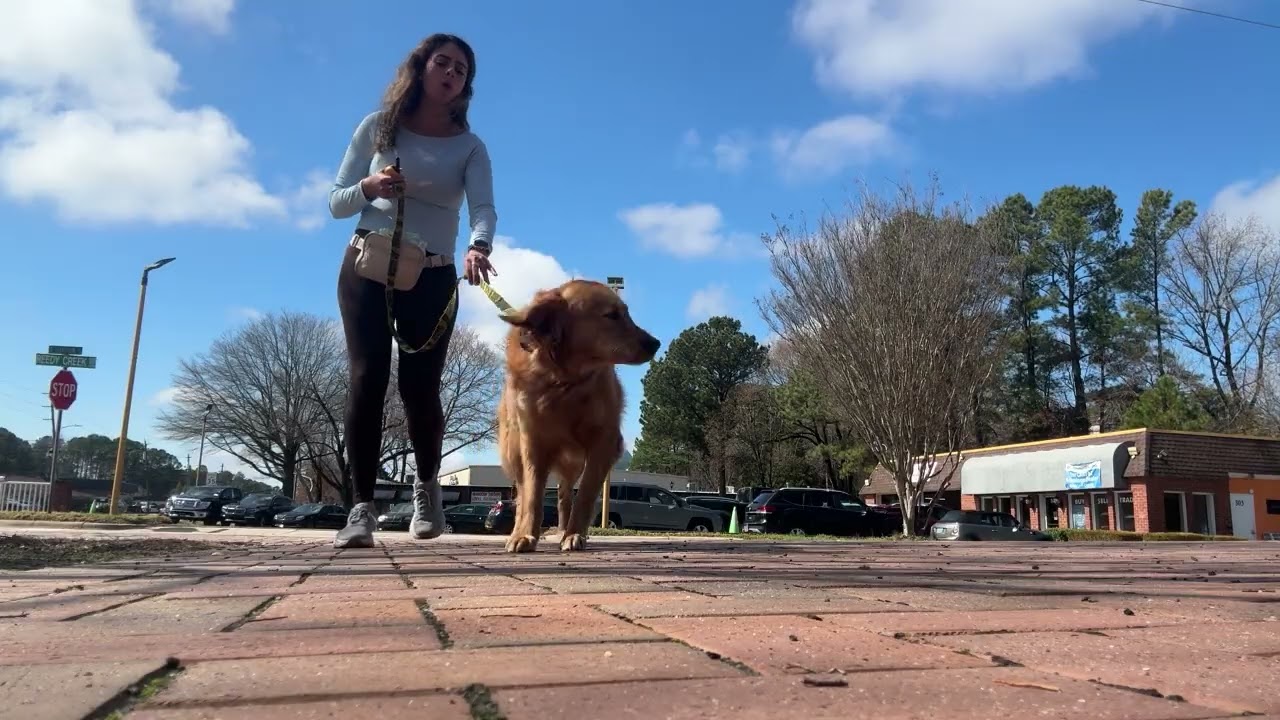 Millie part 2 walk position 