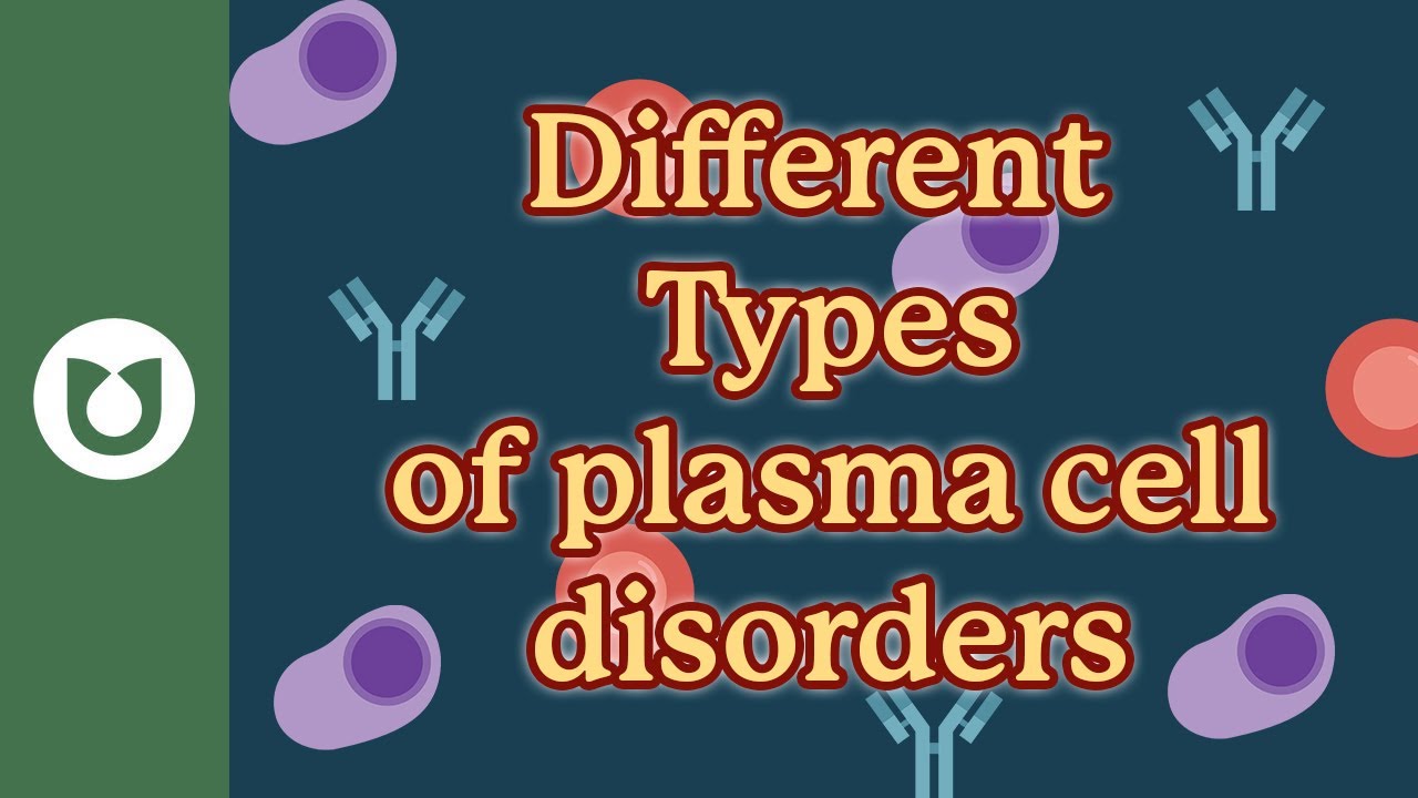 What are the different types of plasma cell disorders? 