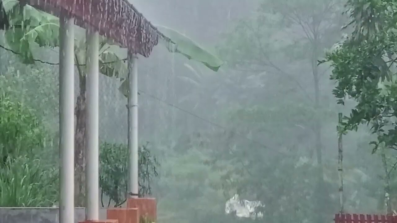 Powerful Heavy Rain & Thunder Sounds 🌩️ Fall Asleep Fast and Relax Your Mind