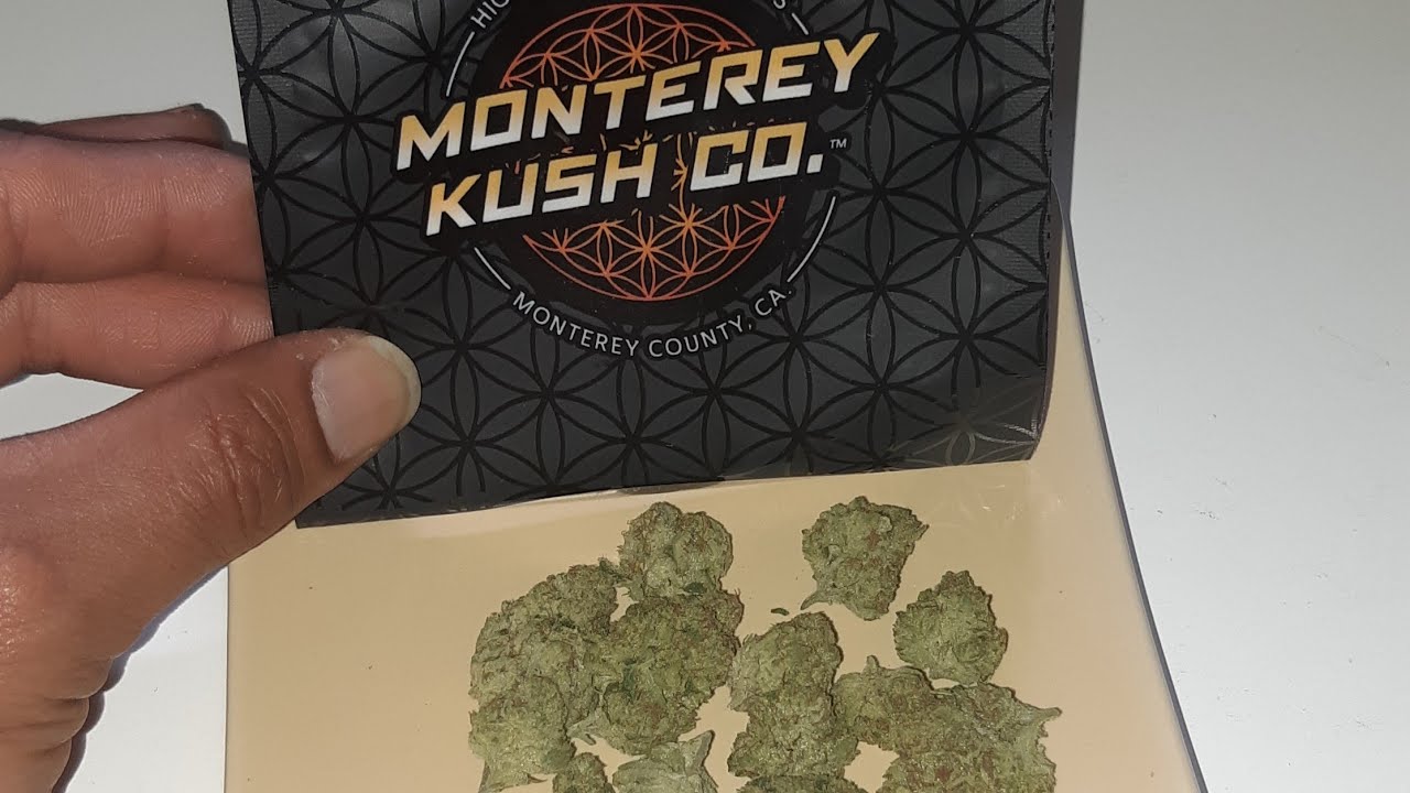 strain review @Hollister ca smoking. Monterey kush co white papaya og #4