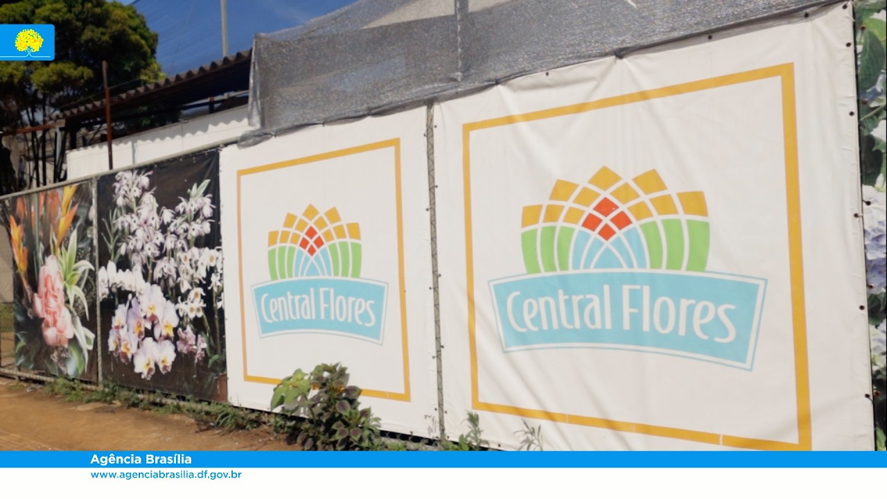 Reforma na cobertura da Central Flores começa na Ceasa