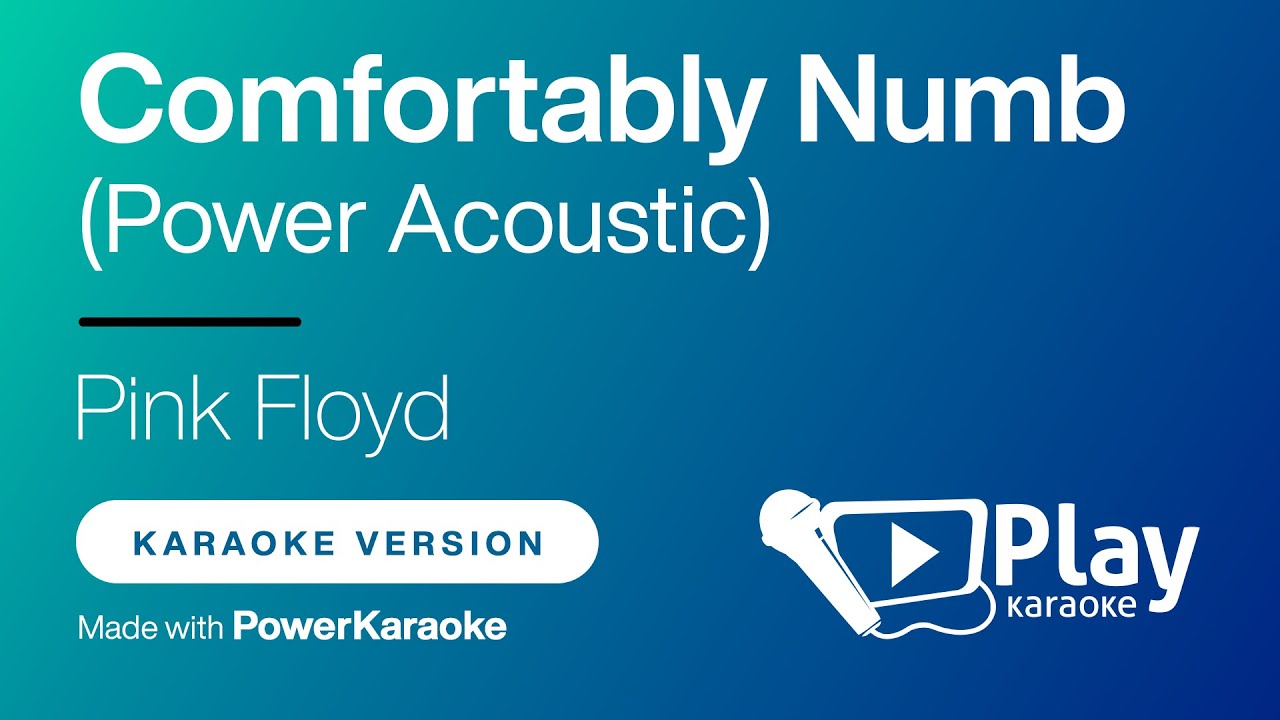 Pink Floyd - Comfortably Numb (Power Acoustic) - Karaoke 🎤 PlayKaraoke Instrumental