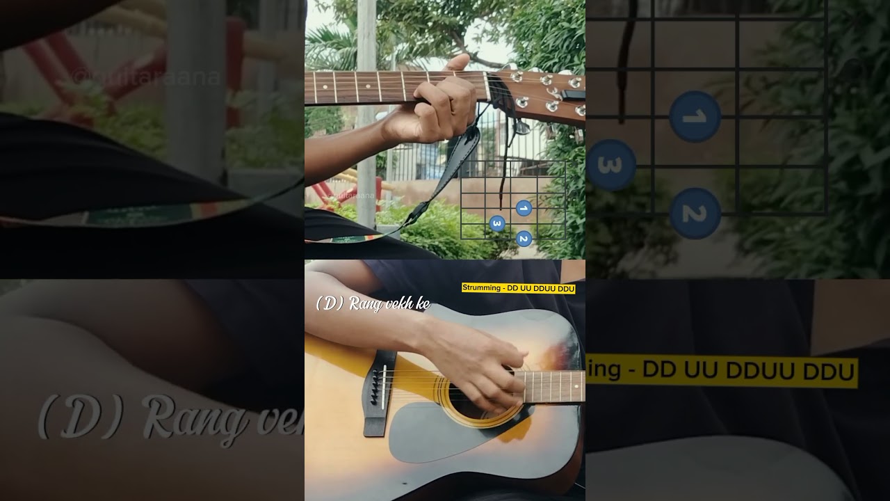 Pani da Rang Cover Song 💝 #guitar #guitarist #acousticguitar #guitarsolo #panidarang #vickydonor