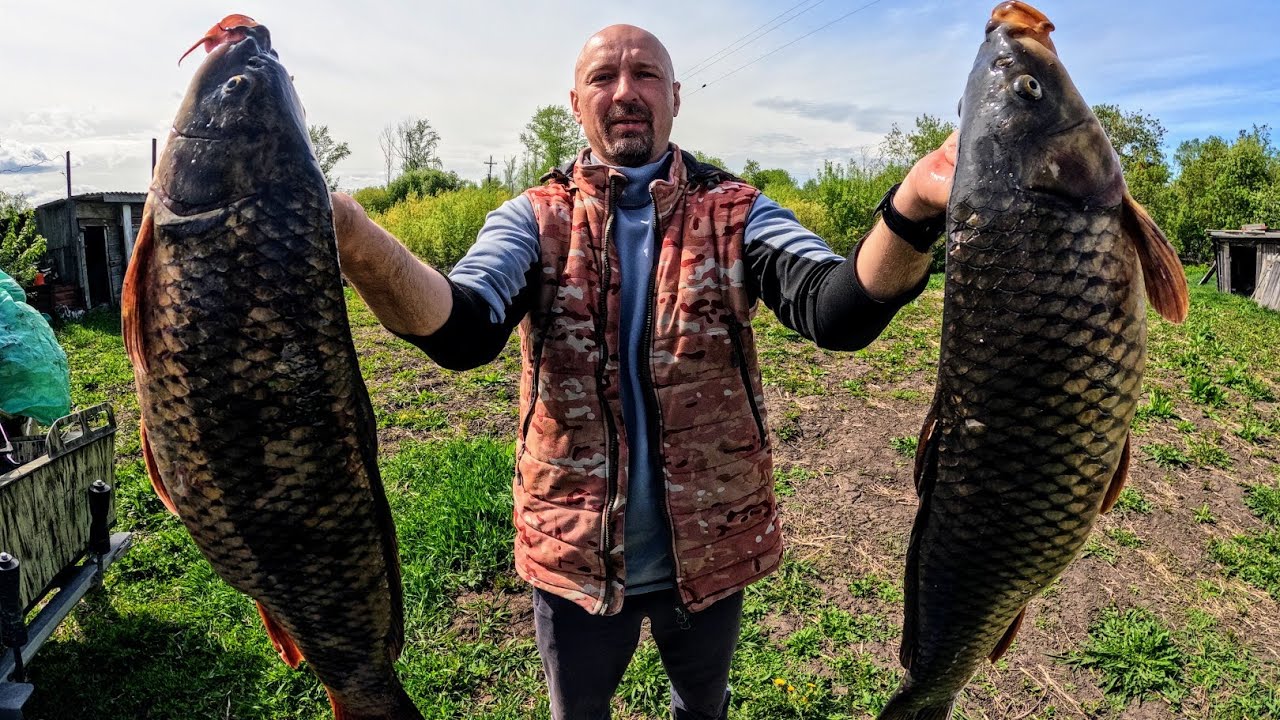 Рыбалка на паук ТОННЫ САЗАНА В ТРУБЕ или как я засадил ниву. Рыбалка 2025. Рыбалка на подъемник.