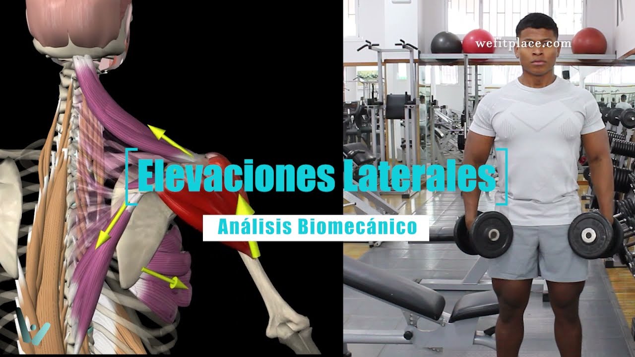 ELEVACIONES LATERALES - Mancuernas - Análisis biomecánico - WeFitPlace - Ejercicio Hombro