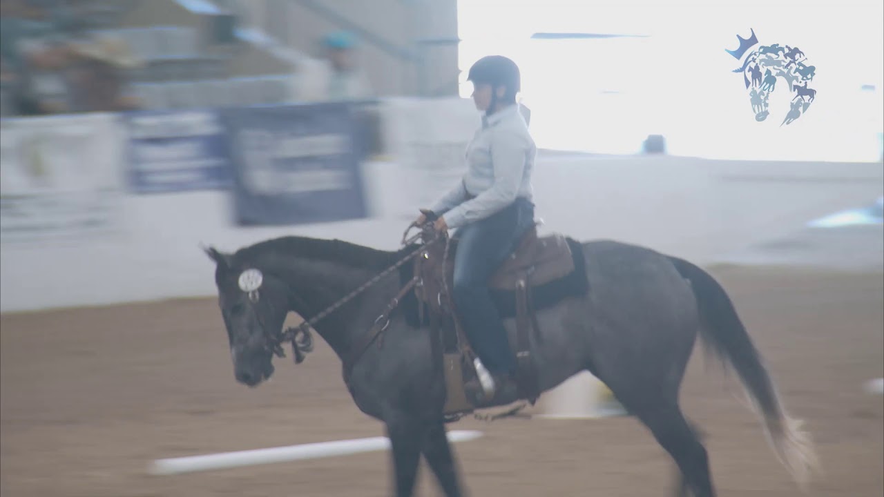 2019 Thoroughbred Makeover Finale: Dressage