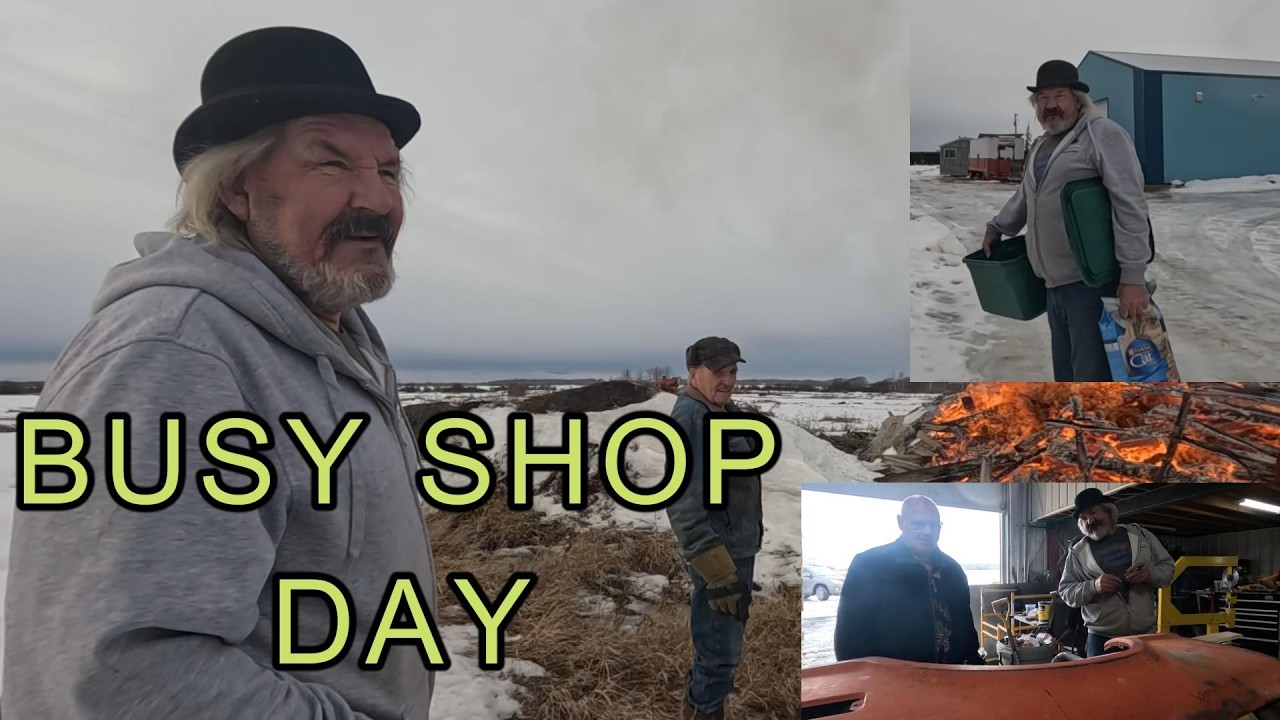 Fire, Fenders & Felines | Shop Chaos Day