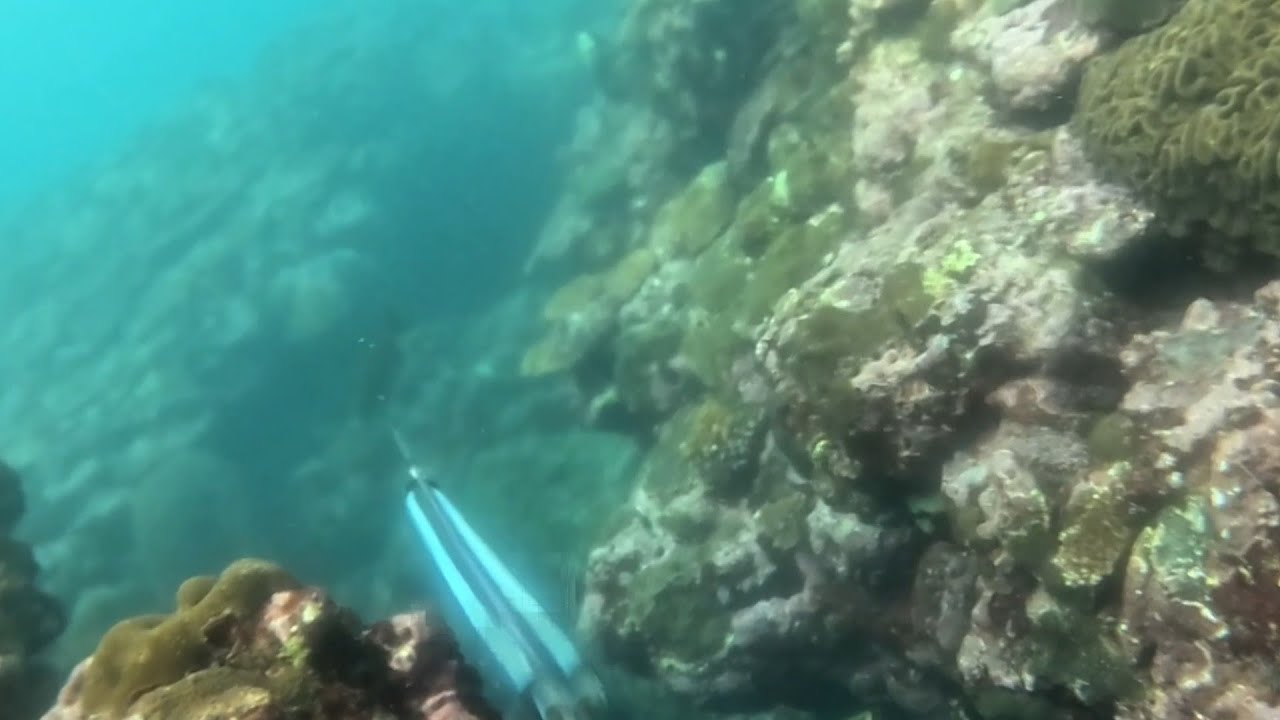 Borongan spearfishing /sulit kahit malabo ang dagat😅