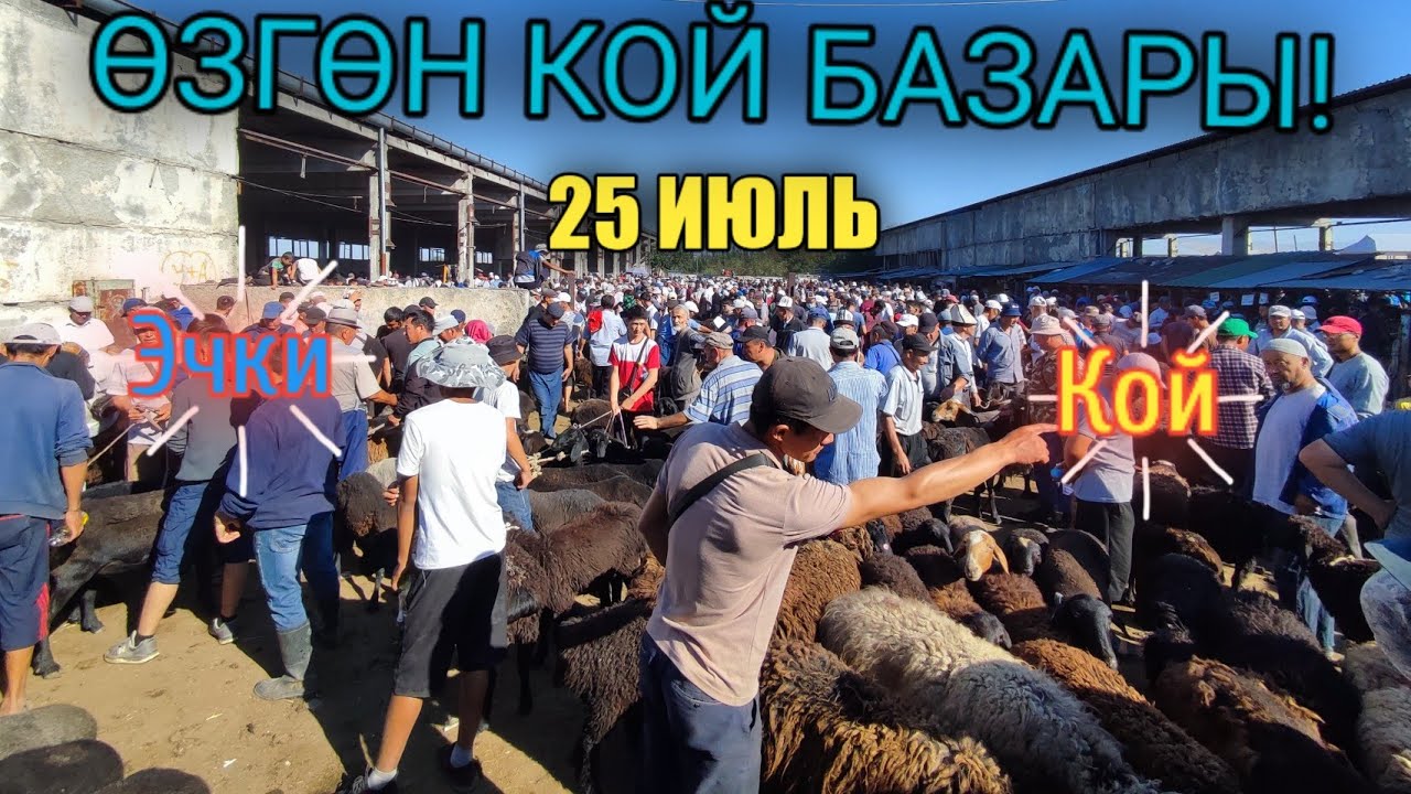 Өзгөн кой базары! Козу| Кой| Кочкор| Эчки| 25 июль