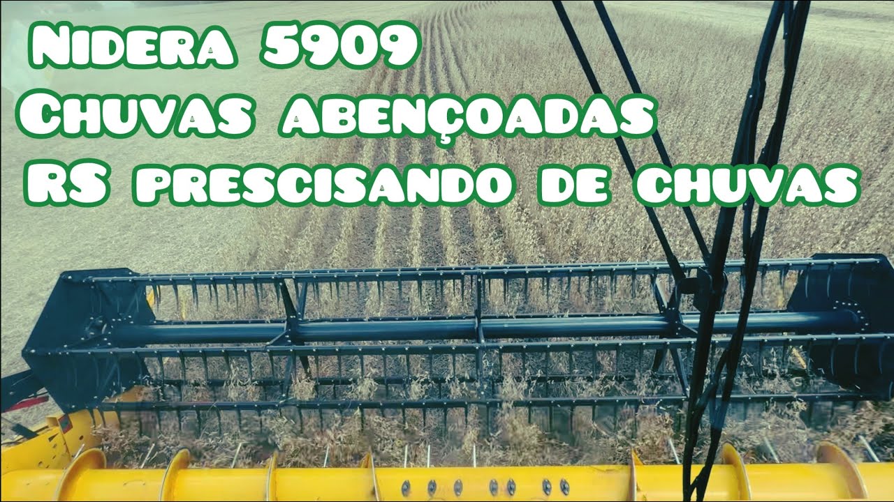 ✅ COLHEITA DA SOJA NIDERA 5909  DEPOIS DAS CHUVAS ABENÇOADA - SAFRA 25/26 🇧🇷🙏