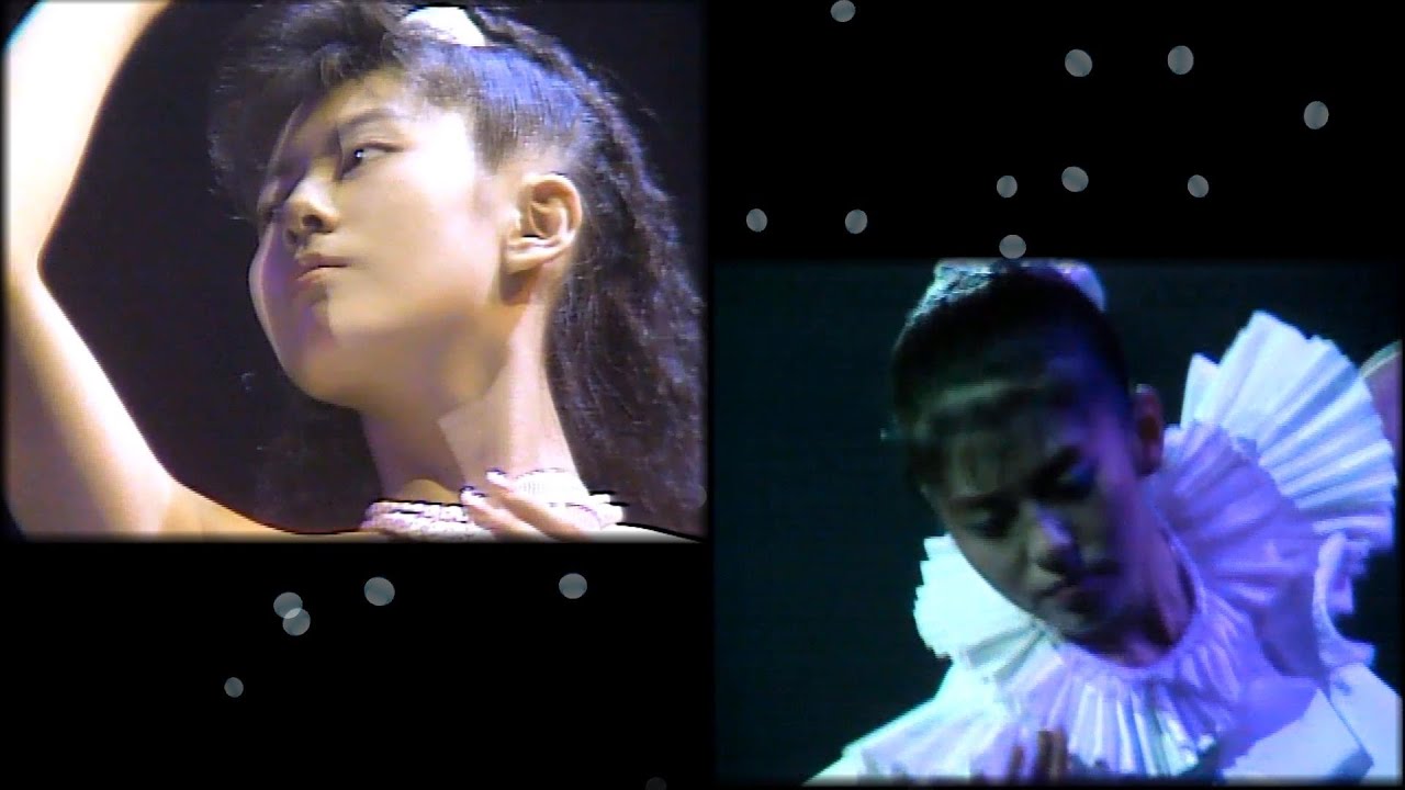 南野陽子「風のマドリガル」( Live '86  '88)