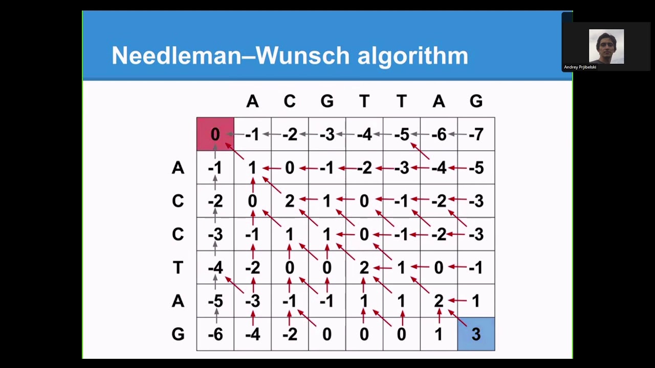 1 lecture - Bio |  Biological sequence alignment