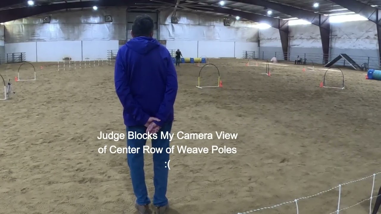 NADAC Weavers Elite Rounds 1 and 2