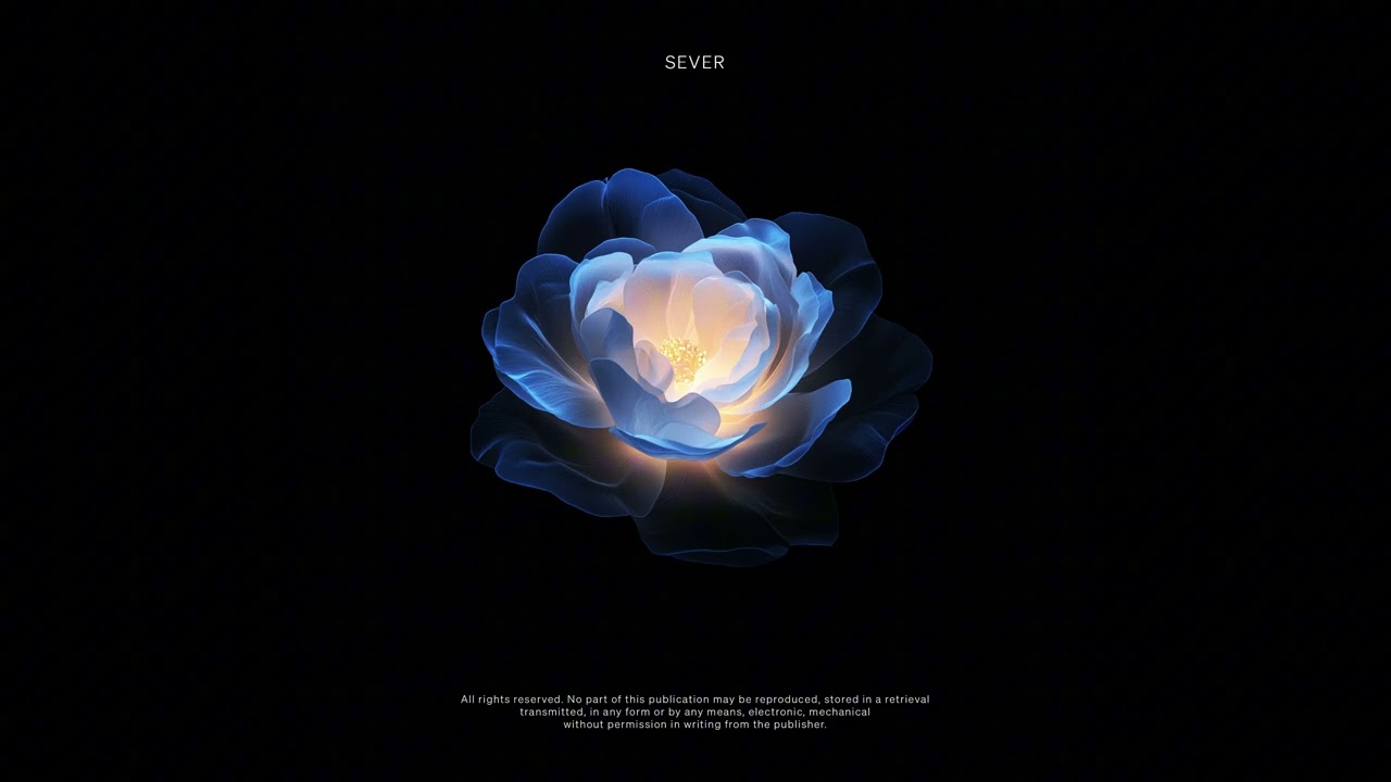 Vision (prod. SEVER)