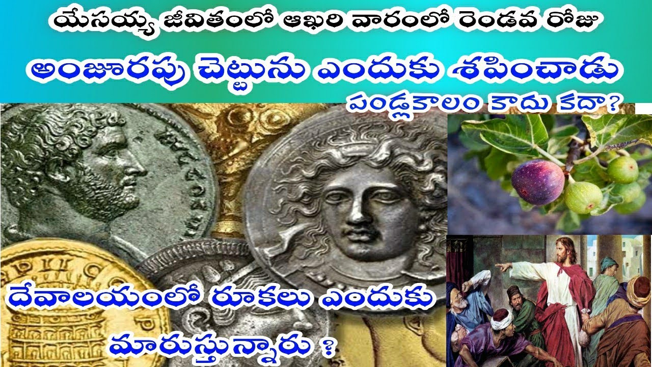 యేసయ్య అంజూరపు చెట్టును ఎందుకు శపించాడు? పండ్లు కాలం కాదు కదా? Why Jesus curse the fig tree ?