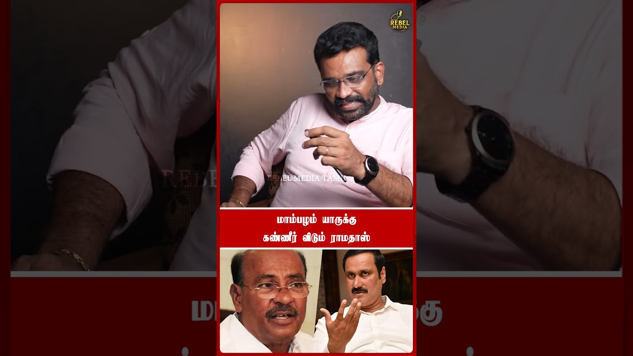 மாம்பழம் யாருக்குகண்ணீர் விடும் ராமதாஸ்  Rebel Media Tamil