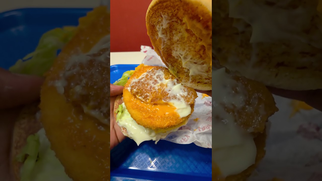 Which Burger Would YOU Pick? 